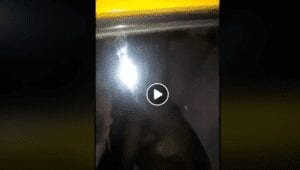 Sénégal: Deux Homosexuels Surpris En Plein Ébats Dans Un Taxi (Vidéo)