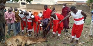 Bondoukou : Une Cérémonie Rituelle Des Féticheurs Pour Arrêter Coronavirus