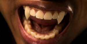 Buveurs De Sang Humain : Des Présumés Vampires Tués À Malawi