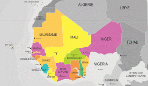 Coronavirus: Bilan Des Pays De L’afrique De L’ouest