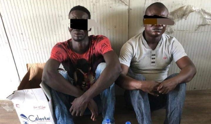 Côte d’Ivoireun employé MACA drogue dans la prison - Côte d’Ivoire : un employé de la MACA arrêté alors qu’il tentait de faire rentrer de la drogue dans la prison