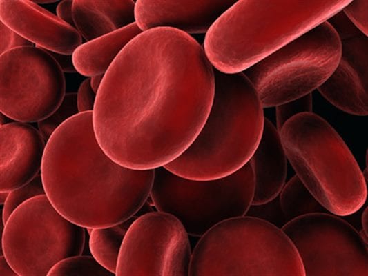 GLOBU - Les personnes du groupe sanguin O sont mieux immunisées contre le Covid-19, les raisons