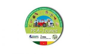 Recrutement De 05 Assistants(E) Au Pea-Jeunes