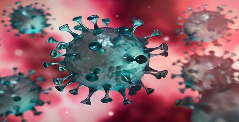 Six nouveaux coronavirus découverts chauves souris