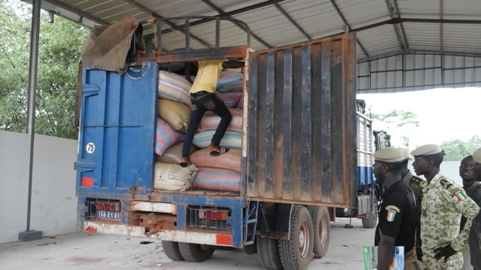Trafic En Côte D’ivoire 110 Tonnes D’anacardes Saisies À Presso Frontière Ghana