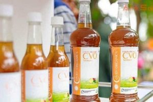 Cameroun : Le Gouvernement Apporte Son Soutien À Un Chercheur Et Ambitionne Commander Le Covid-Organics