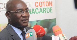 Côte D’ivoire / Anacarde Campagne 2020: Le Prix Bord Champ De La Noix De Cajou Fixé À 400 Fcfa Le Kg