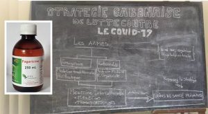 La Fagaricine 532 Comme Remède Anti-Covid Au Gabon.