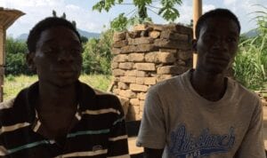 Ghana : Du Manioc Pour Produire De L'Électricité 