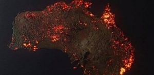 Les Feux De Forêt En Australie Ont Coûté La Vie À Des Centaines De Personnes