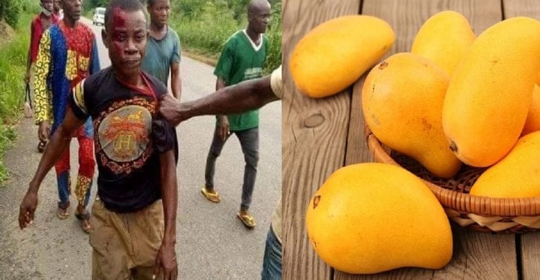 Nigeria: Pour Des Mangues, Un Homme Tue Son Cousin