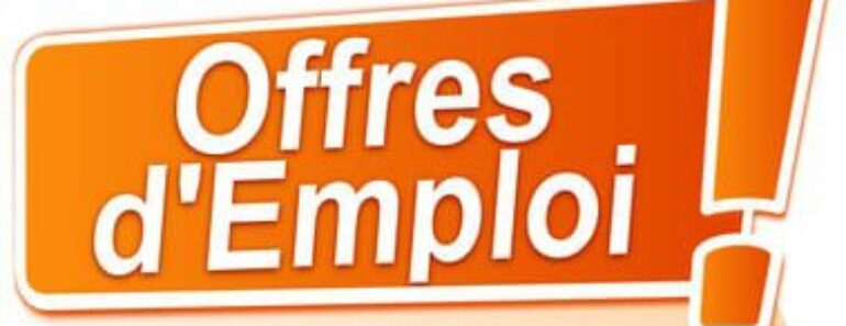 OFFRES DEMPLOIS DU 04 AU 10 MAI 2020 1 770x297 - Orange Mali SA Recrute (01) Chef de produit/Data-Analyst Marketing (H/F)