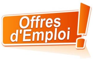 L&Rsquo;Ong Handicap International Recrute (01) Responsable Rémunération Et Avantages Sociaux