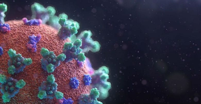 Top 7 Plus Dangereux Virus De La Planètevoici Le Rang Coronavirus