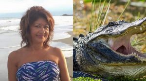 A Cause D’un Selfie, Une Femme S’est Faite Dévorer Par Un Alligator