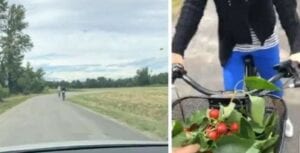 L’agriculteur Prend Les Voleurs De Cerises En Flagrant Délit : Il Les Poursuit Et Montre La Scène Sur Facebook