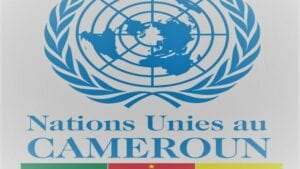 Recrutement De 15 Postes Vacants , Nations Unies Au Cameroun