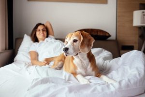 Une Femme Avoue Que Son Chien Lui Faire Atteindre L*0Rgasme Plusieurs Fois Par Jour