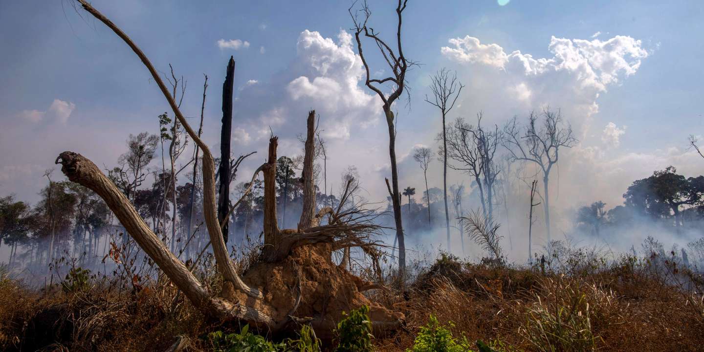 2 248 Foyers D’incendie Recensés En Amazonie Le Pire Total Depuis Treize Ans