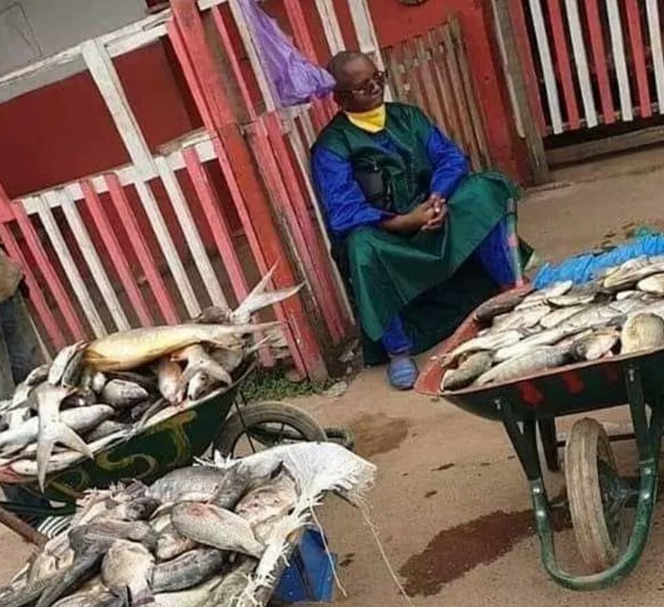 Gabon : Cet Ancien Ministre Vend Des Poissons Au Marché