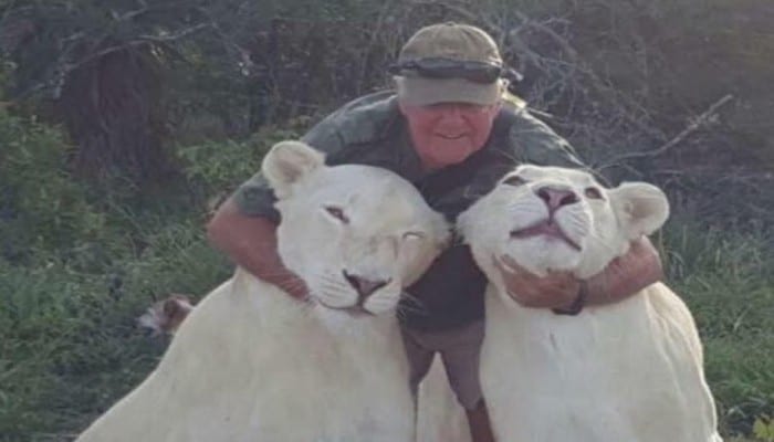 Afrique Du Sudun Homme Tué Deux Lionnes