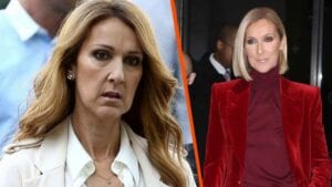 Céline Dion, Victime D&Rsquo;Avc ?