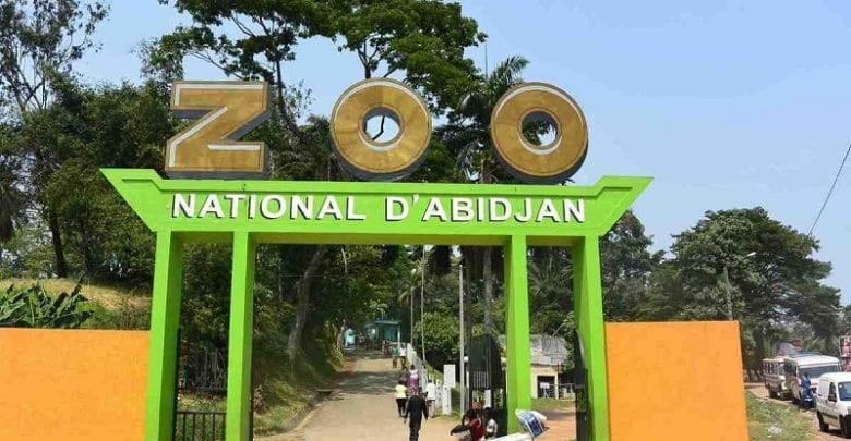 Côte Divoire Un Employé De Zoo Licencié Dénoncé Des Anomalies