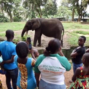 Fermeture Du Zoo D&Rsquo;Abidjan : Autopsie D&Rsquo;Un Échec Lamentable