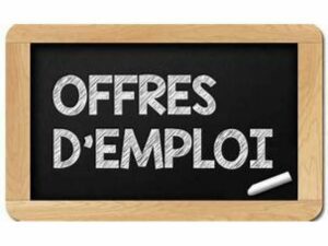 Une Structure Recrute 01 Responsable Administratif Et Financier (H/F) (Finance Et Administration – Bénin