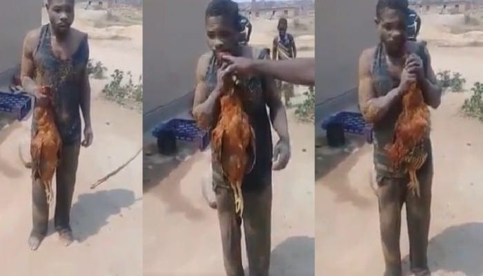 Zimbabwe: Une Foule En Colère Force Un Voleur À Manger Un Poulet Crû-Vidéo