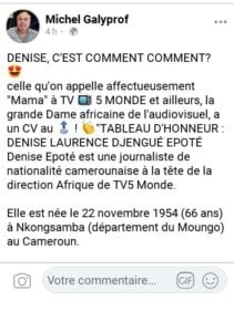 Tv5 Monde : La Journaliste Denise Epoté Fait Sensation Sur La Toile