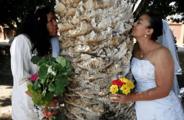 Insolite : Une femme se marie avec un arbre