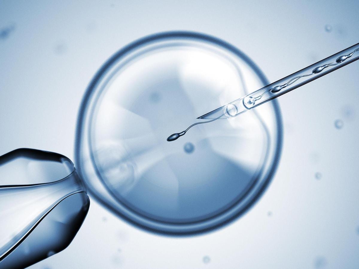Pays-Bas : Un Gynécologue Enceintait Ses Patientes Avec Son Sperme