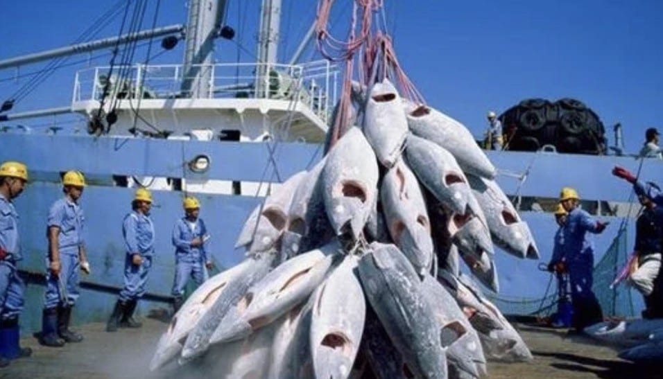 Sénégal – Union Européenne : Les Dessous De L’accord De Pêche Polémique