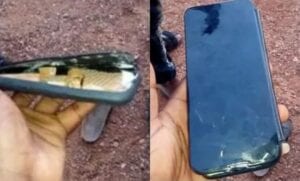 Ghana: Il Achète Un Téléphone Dans La Rue Et Découvre Après Qu’il Est Fait De Bois