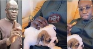 Le Milliardaire Sénégalais Mo Gates Surnomme Son Chien Sa Ndiogou De Walf Tv (Vidéo)