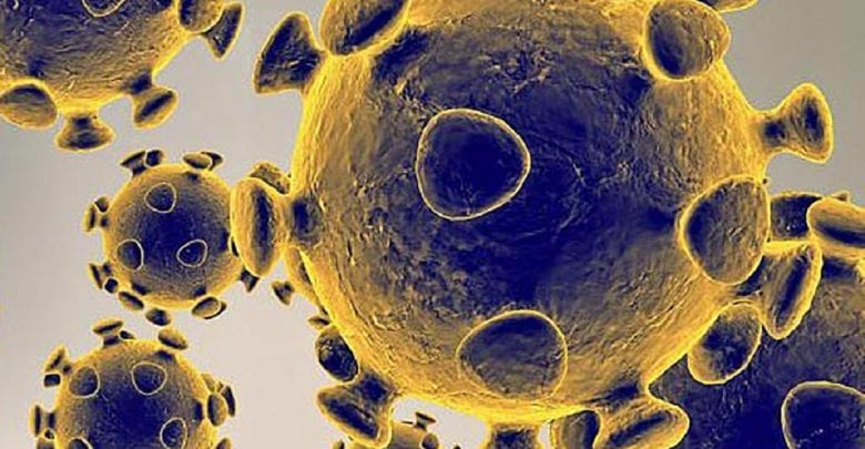 Alerte sanitaire / Le virus du Covid-19 a muté en Afrique du Sud et est devenu encore plus dangereux