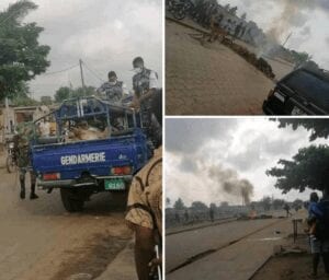 Togo : Des Animaux Saisis Par La Police À Gbossimé