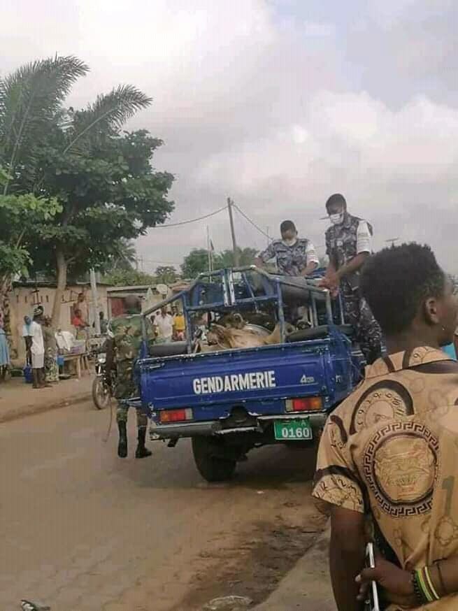 Togo Des Animaux Saisis Par La Police A Gbossime Doingbuzz