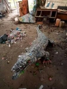 Photo 3 225x300 - Ce jeune artiste fabrique des crocodiles avec des bouteilles plastiques (photos)