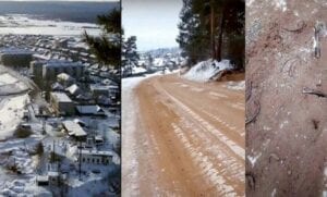 Une Route Remplie De Crânes Et D’os Découverte En Sibérie