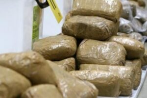 11 Trafiquants De Drogue Arrêtés Au Cameroun