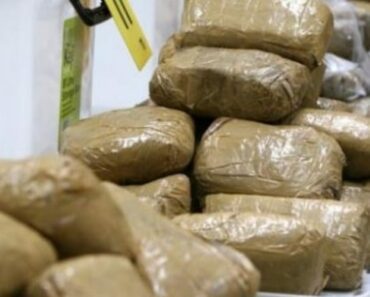 Dubaï : 500 kg de cocaïne d’une valeur de plus de 77 milliards F CFA saisis