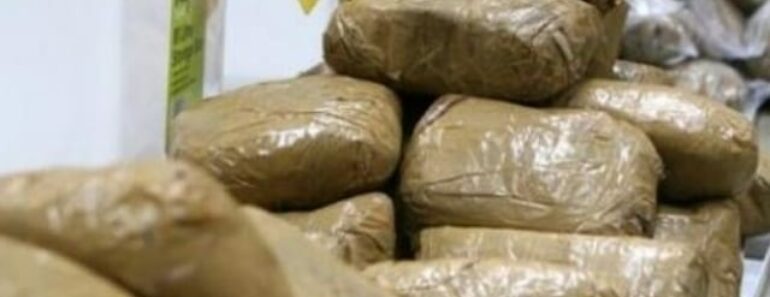 Dubaï : 500 kg de cocaïne d’une valeur de plus de 77 milliards F CFA saisis