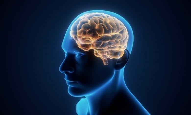 Santé: Voici Quelques Procédés Pour Empêcher Le Vieillissement Du Cerveau