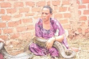 Zimbabwe : Une Femme Surprise Entrain D&Rsquo;Allaiter Un Serpent