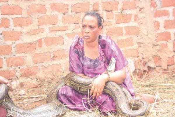 Zimbabwe : une femme surprise entrain d’allaiter un serpent