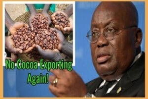 Voici Pourquoi Le Ghana Ne Vendra Plus Le Cacao À La Suisse (Vidéo)