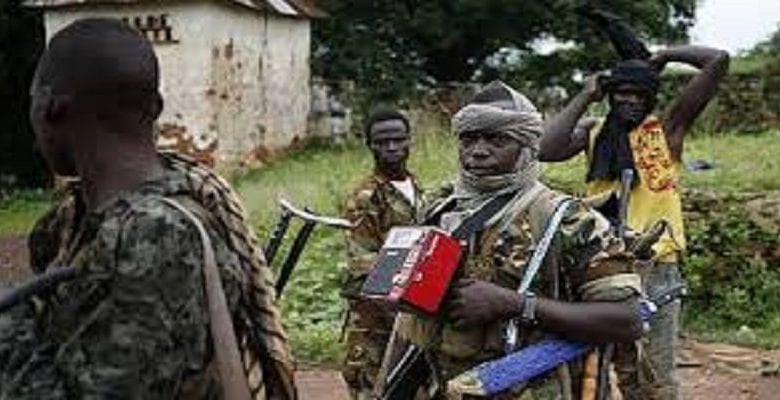 Centrafrique/ 200 Rebelles Tués Par L’armée: De Nouvelles Villes Sont Tombées