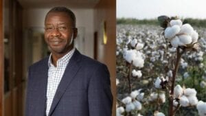 Côte D’ivoire: Jean-François Touré, Nouveau Patron De La Filiale Coton D’olam